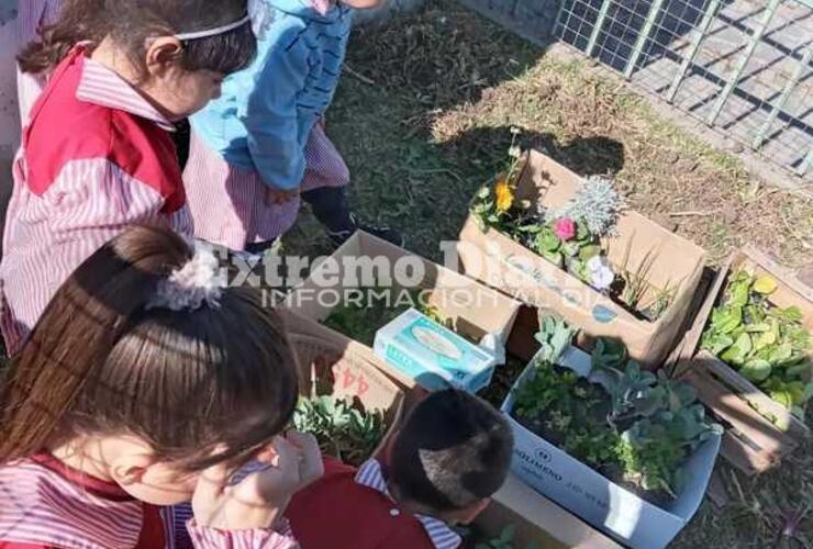 Imagen de Intervención del vivero municipal en el Jardín Lucecitas del Paraná