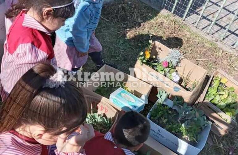 Imagen de Intervención del vivero municipal en el Jardín Lucecitas del Paraná