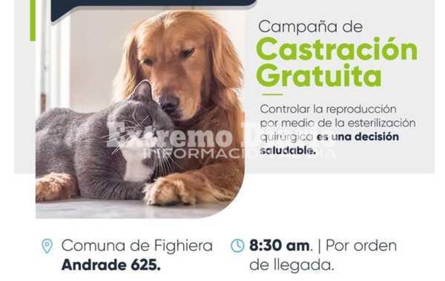 Imagen de Nueva campa&ntilde;a de castraciones en Fighiera