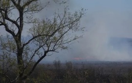 Imagen de Diputados provinciales solicitaron que se declare la emergencia ambiental en Santa Fe