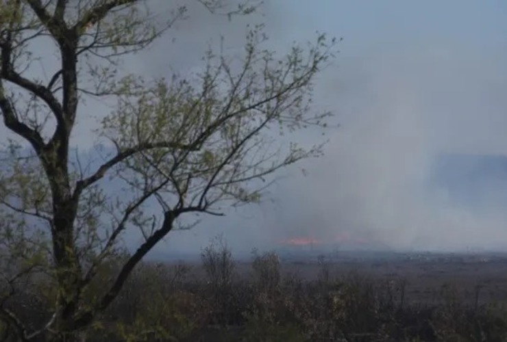 Imagen de Diputados provinciales solicitaron que se declare la emergencia ambiental en Santa Fe