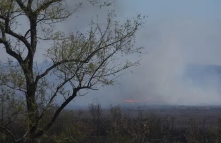 Imagen de Diputados provinciales solicitaron que se declare la emergencia ambiental en Santa Fe