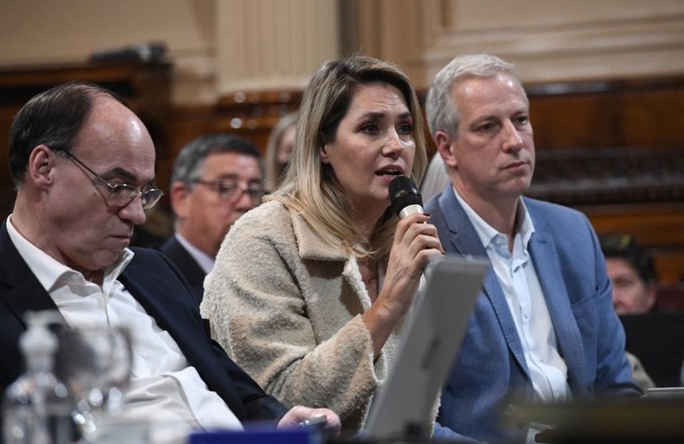 Imagen de Carolina Losada pide que se declare la emergencia vial en Santa Fe