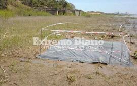 Imagen de Hallazgo con posible valor paleontol&oacute;gico en Arroyo Seco