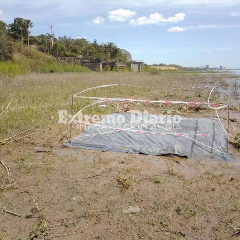 Imagen de Hallazgo con posible valor paleontológico en Arroyo Seco