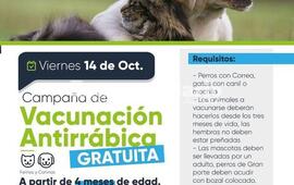 Imagen de Fighiera: Campa&ntilde;a de Vacunaci&oacute;n Antirr&aacute;bica en el barrio Costa del Paran&aacute;