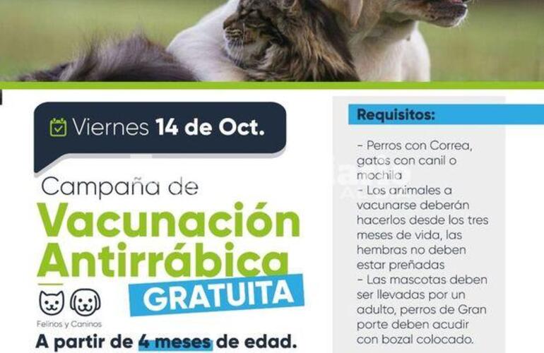 Imagen de Fighiera: Campa&ntilde;a de Vacunaci&oacute;n Antirr&aacute;bica en el barrio Costa del Paran&aacute;