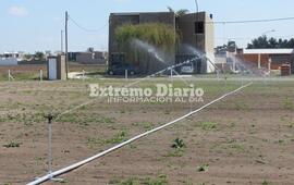 Talleres adquiri&oacute; un nuevo sistema de riego.
