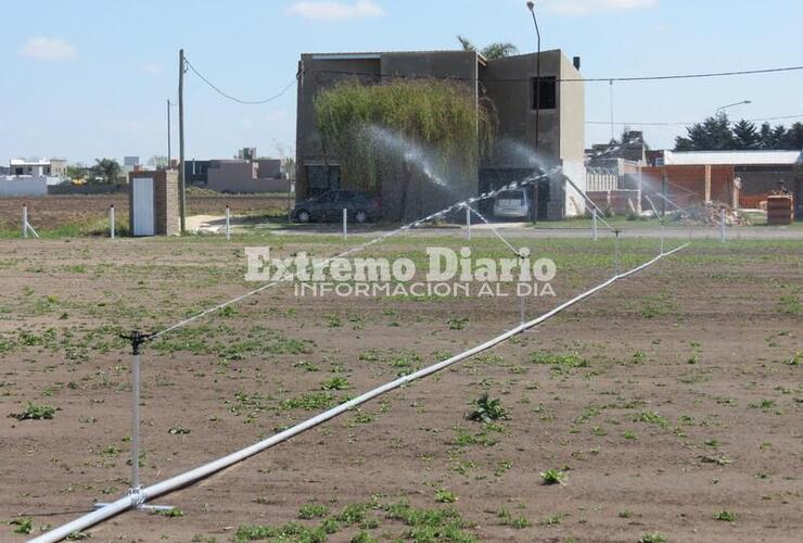 Talleres adquirió un nuevo sistema de riego.