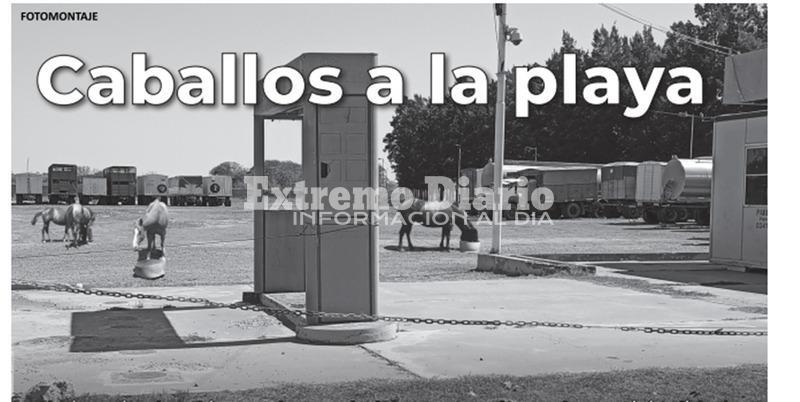 Imagen de Caballos sueltos: Buscan hacer un corral en la playa de camiones y que los due&ntilde;os paguen multa y estad&iacute;a para retirarlos
