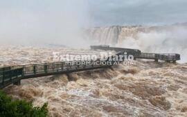 Imagen de Desesperada b&uacute;squeda de un hombre que cay&oacute; desde una pasarela de las Cataratas del Iguaz&uacute;