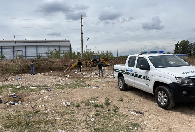 Imagen de Decomisaron un camión que trasladaba 2770 kg de hígado de cerdo