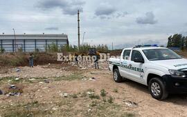 Imagen de Decomisaron casi 3 mil kilos de h&iacute;gado de cerdo