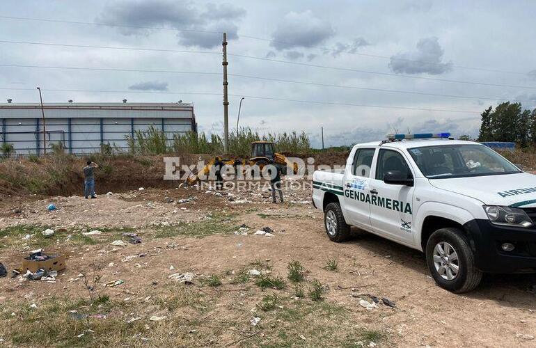 Imagen de Decomisaron casi 3 mil kilos de hígado de cerdo