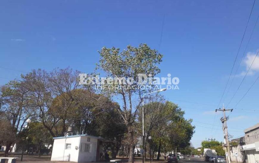 Imagen de Para este viernes se espera una m&aacute;xima de 30
