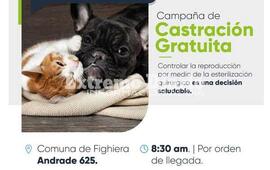 Imagen de Nueva campa&ntilde;a de castraci&oacute;n de perros y gatos en Fighiera