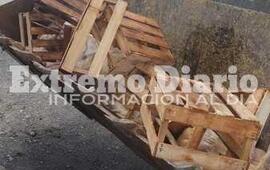 Imagen de Durante un procedimiento decomisaron 14 cajones de pollo