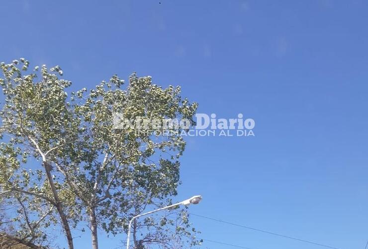 Imagen de Otra ma&ntilde;ana fresca que mejorar&aacute; a partir del mediod&iacute;a