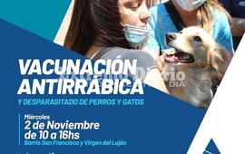 Imagen de Vacunaci&oacute;n antirr&aacute;bica y desparasitado de perros y gatos en Arroyo Seco