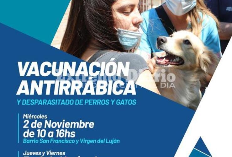 Imagen de Vacunación antirrábica y desparasitado de perros y gatos en Arroyo Seco