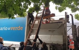 Los bomberos tuvieron que rescatar al hombre del interior del cami&oacute;n de residuos. El hecho sucedi&oacute; este domingo en Constituci&oacute;n al 1800.