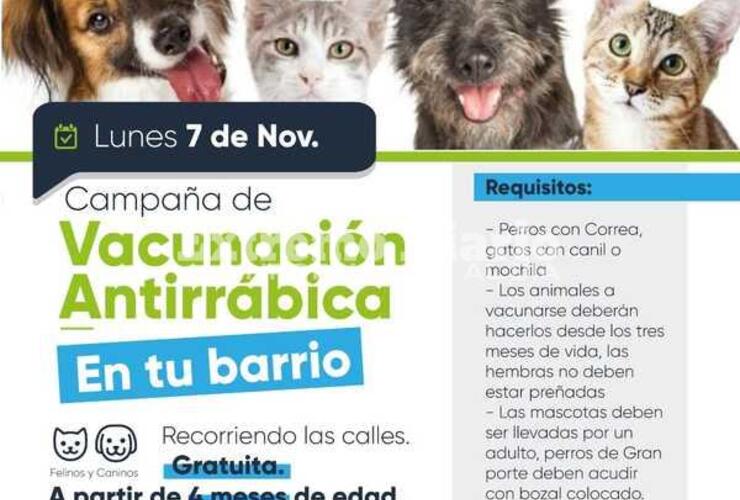 Imagen de Fighiera: Campaña de vacunación antirrábica en el barrio Palermo