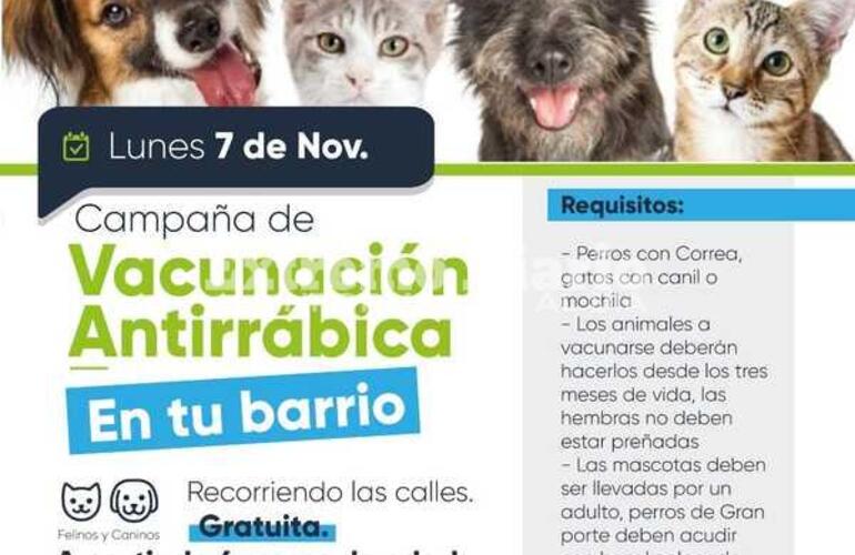 Imagen de Fighiera: Campaña de vacunación antirrábica en el barrio Palermo