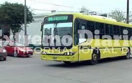 Imagen de La M verde retomar&aacute; su recorrido habitual en Fighiera