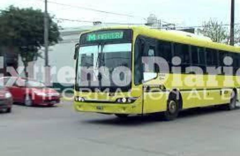 Imagen de La M verde retomará su recorrido habitual en Fighiera