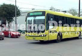 Imagen de La M verde retomar&aacute; su recorrido habitual en Fighiera