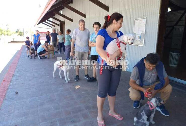 Imagen de Se realizó la primera jornada de vacunación antirrábica en Alvear