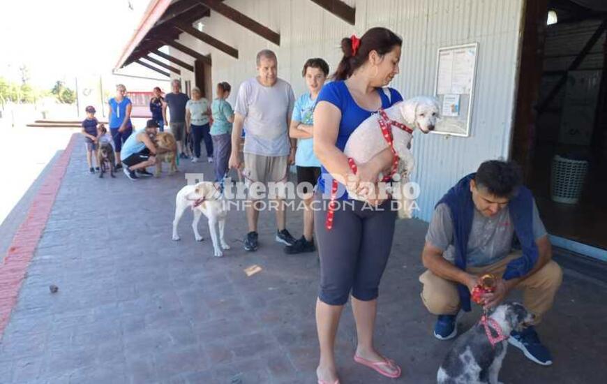 Imagen de Se realiz&oacute; la primera jornada de vacunaci&oacute;n antirr&aacute;bica en Alvear