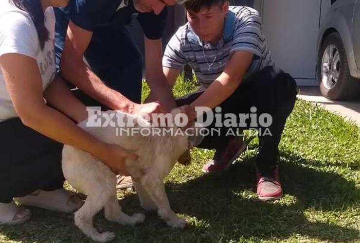 Imagen de Vacunaci&oacute;n antirr&aacute;bica en Fighiera