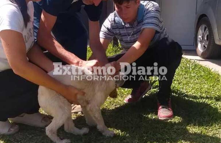 Imagen de Vacunación antirrábica en Fighiera