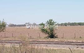 Imagen de Alvear: Muri&oacute; un paracaidista que salt&oacute; del avi&oacute;n y el mecanismo fall&oacute;