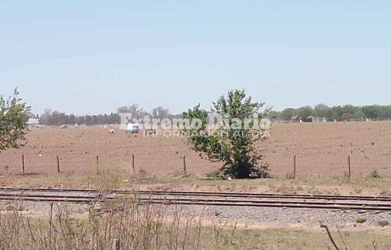 Imagen de Alvear: Muri&oacute; un paracaidista que salt&oacute; del avi&oacute;n y el mecanismo fall&oacute;