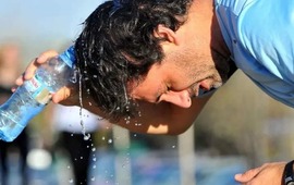 Imagen de Se registraron olas de calor "sin precedentes" y un invierno m&aacute;s fr&iacute;o de lo habitual en 2022