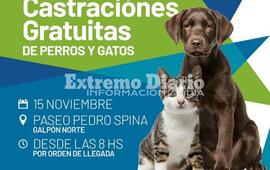 Imagen de Campa&ntilde;a de castraciones gratuitas en Arroyo Seco