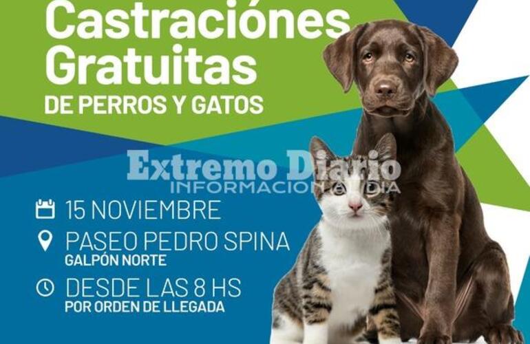 Imagen de Campaña de castraciones gratuitas en Arroyo Seco