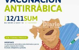Imagen de Vacunaci&oacute;n antirr&aacute;bica en Alvear