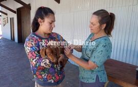 Imagen de La comuna de Alvear cumpli&oacute; cien campa&ntilde;as de sanidad animal