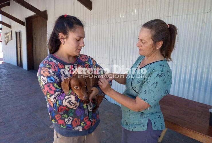 Imagen de La comuna de Alvear cumplió cien campañas de sanidad animal