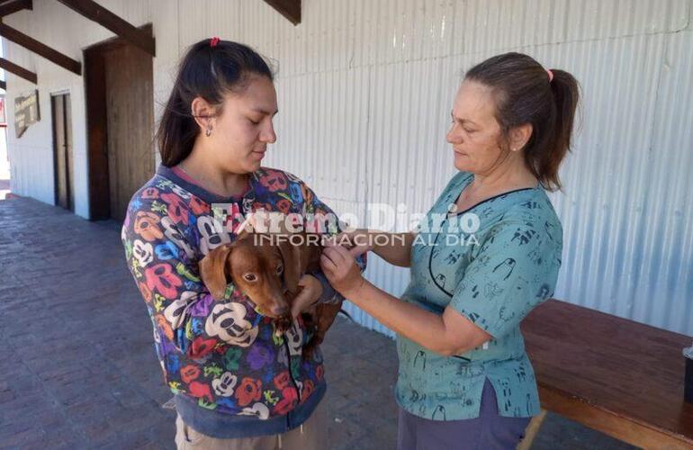 Imagen de La comuna de Alvear cumplió cien campañas de sanidad animal