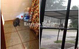 Imagen de Lluvia y anegamientos: Algo de lo que dej&oacute; el temporal