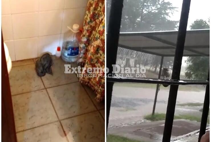 Imagen de Lluvia y anegamientos: Algo de lo que dej&oacute; el temporal