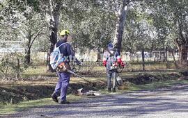 Imagen de Tema en com&uacute;n: Attoresi, Cuello y Tonelli pidieron por la fumigaci&oacute;n