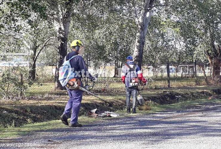 Imagen de Tema en común: Attoresi, Cuello y Tonelli pidieron por la fumigación