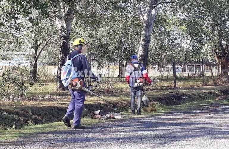 Imagen de Tema en común: Attoresi, Cuello y Tonelli pidieron por la fumigación