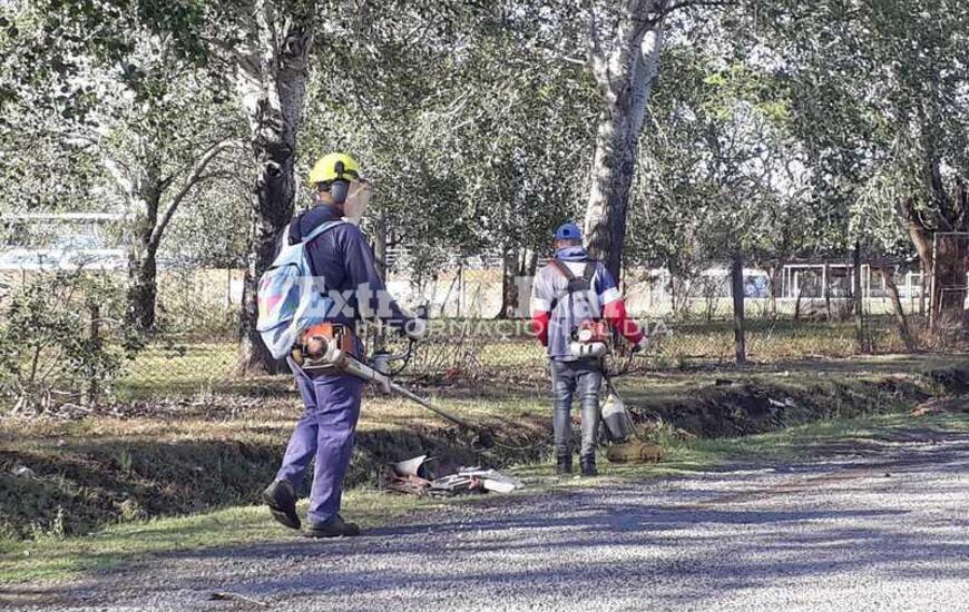 Imagen de Tema en com&uacute;n: Attoresi, Cuello y Tonelli pidieron por la fumigaci&oacute;n