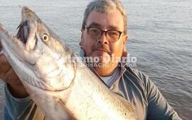 Pablo Piersanti es pescador y el 3 de noviembre encontr&oacute; un ejemplar de salm&oacute;n chinook de unos cinco kilos entre sus redes.